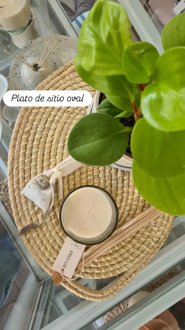 Producto - Peperomias