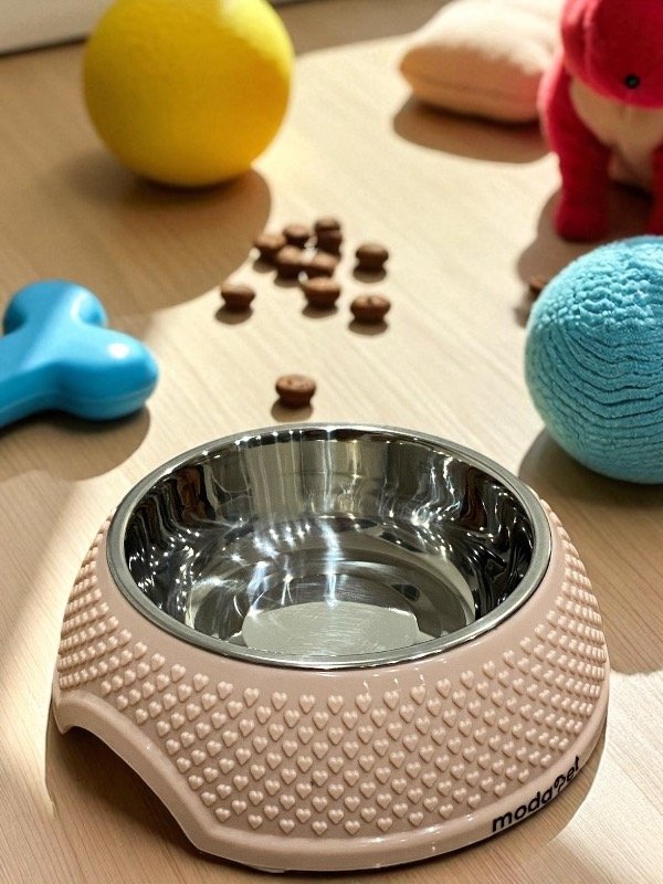 Producto - COMEDERO ANTIDESLIZANTE CON BOWL DE ACERO INOXIDABLE 20CM