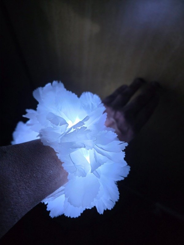 Producto - Pulsera Blanca Hawaiana x 10