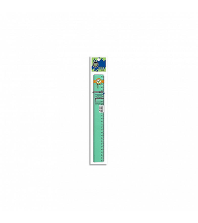 Producto - Regla Pizzini Tecnica 1732  30 centimetros