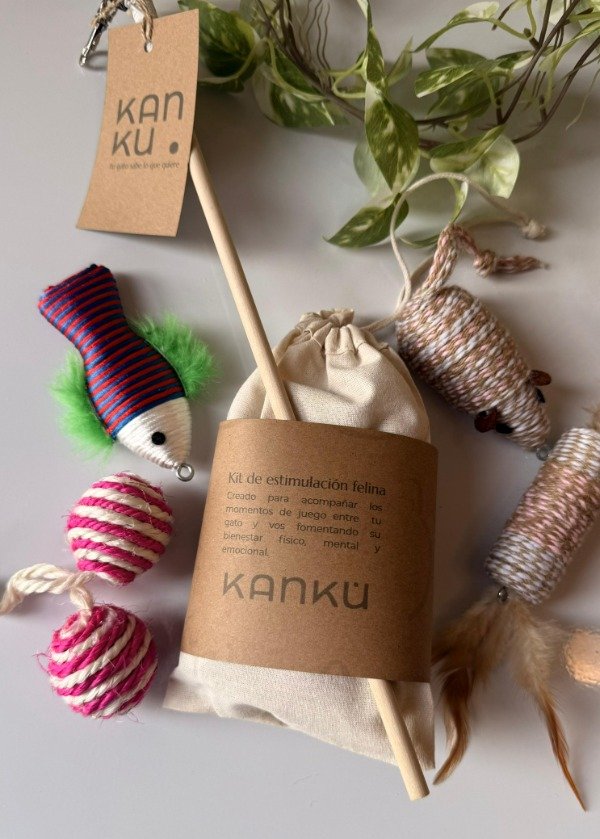 Producto - Kit de Estimulación Felina