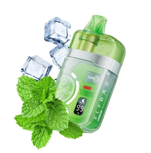 Producto - MIAMI MINT - ELFBAR BC PRO