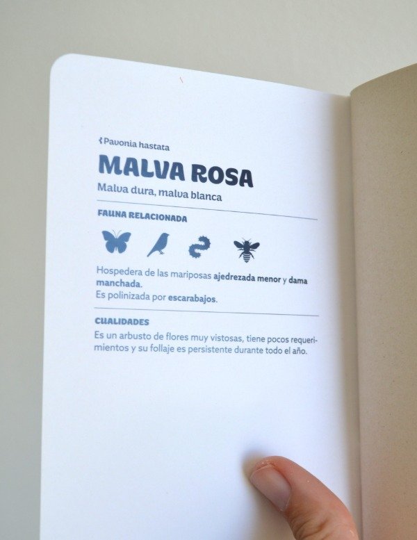 Producto - Libreta Malva Rosa - 1