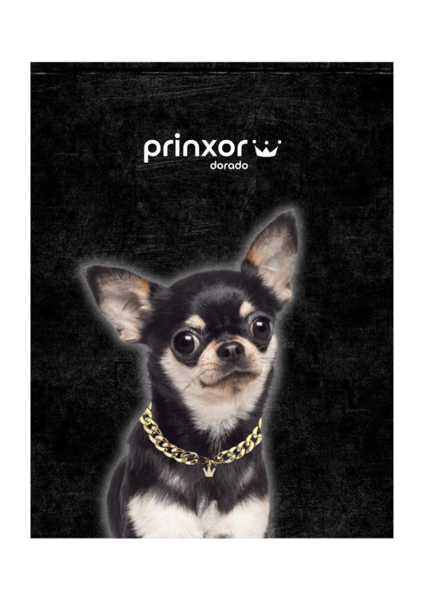Producto - Prinxor Dorado