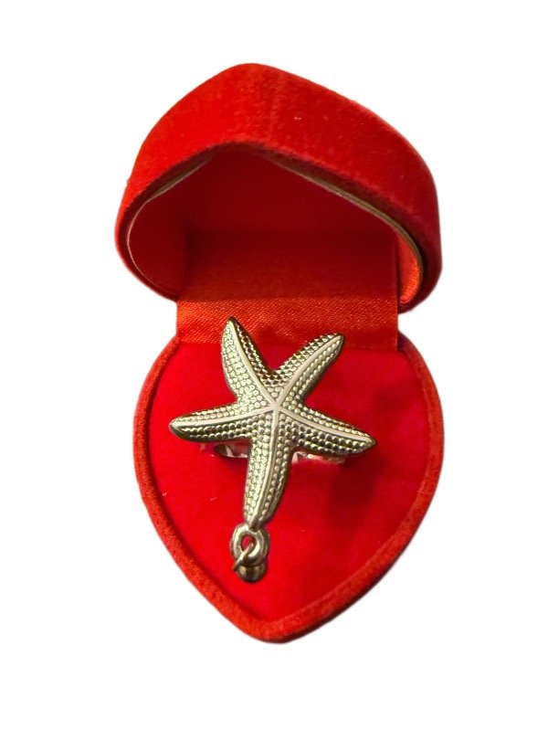 Producto - Anillo acero quirúrgico estrella de mar