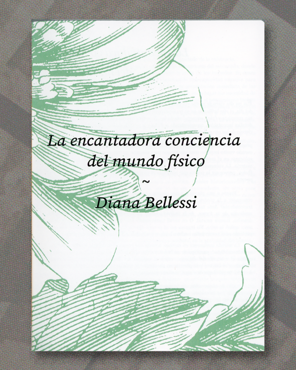 Producto - La encantadora conciencia del mundo físico