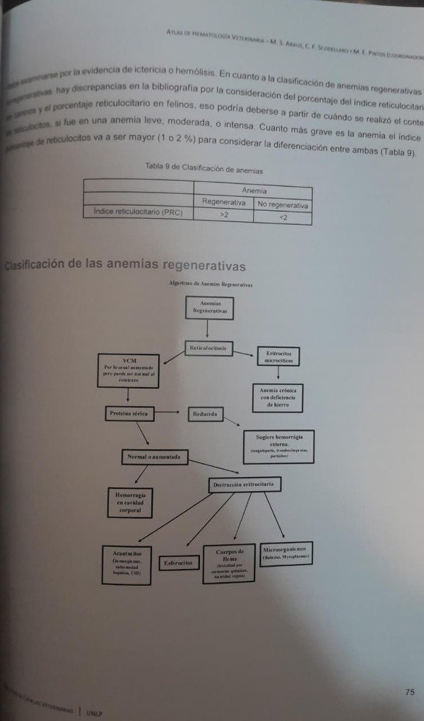 Producto - Arauz: Atlas de Hematología Veterinaria - 6