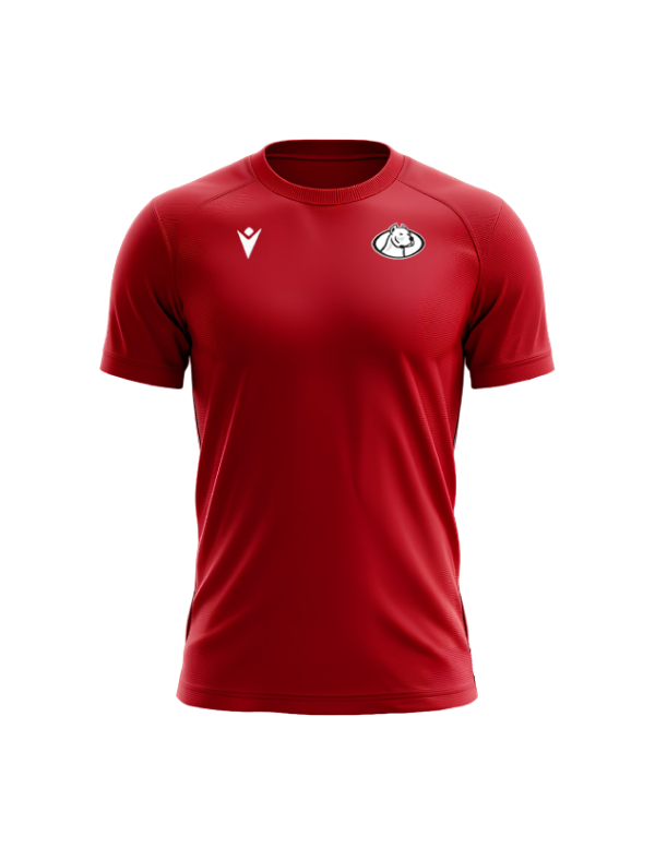 Producto - Remera Algodón Dogos XV 2026