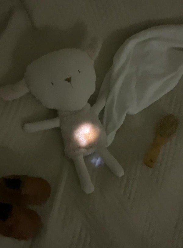 Producto - Oveja de apego con luz - 1