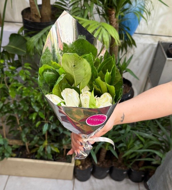 Producto - JAZMIN MEDIANO