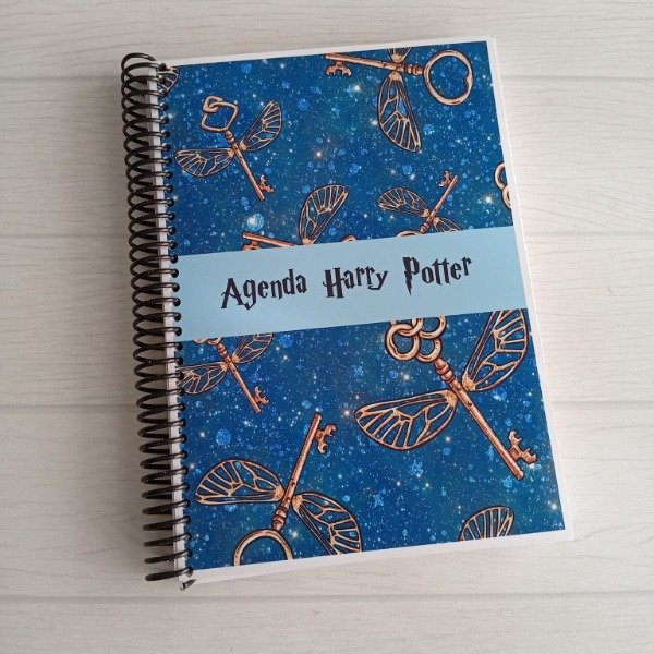 Producto - AGENDA HARRY POTTER 2026