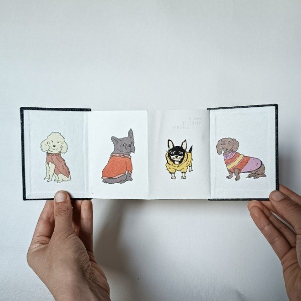 Producto - Perritos con Sweater