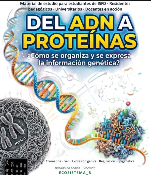 Producto - PACKx3 Cuadernillos de núcleotidos, ADN a proteínas y Proteínas - ESTUDIANTES - 1