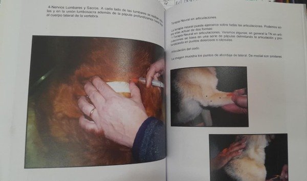 Producto - Castro: Bases para la Terapia Neural en Caninos y Felinos - 10