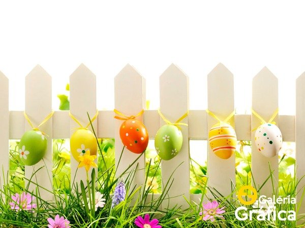 Producto - Pascuas FS 06