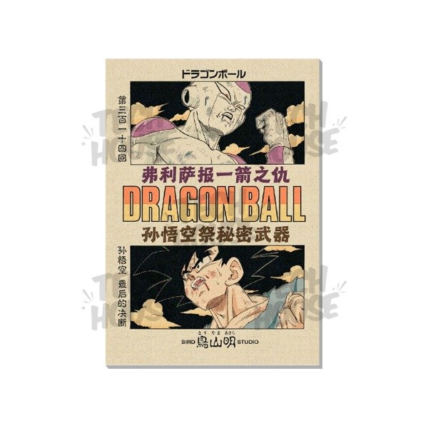 Producto - Dragon Ball - Cuadro 4