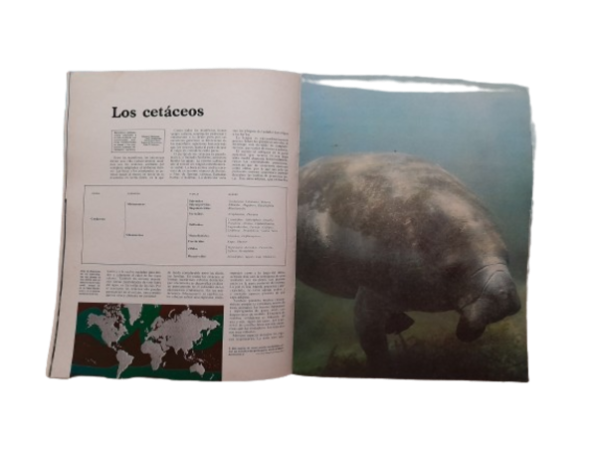 Miniatura de producto - 5