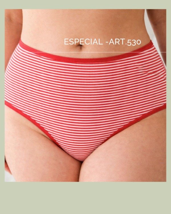 Producto - 530 Especial