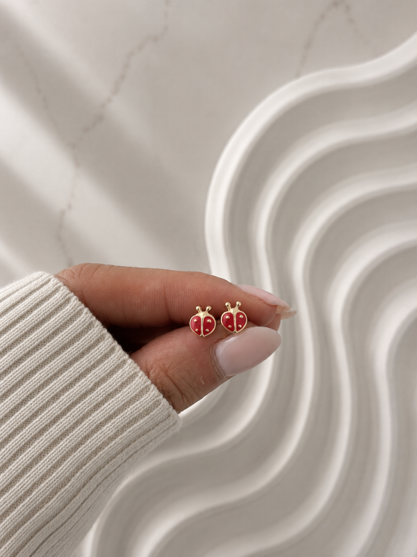 Producto - ABRIDORES DE PLATA 1530