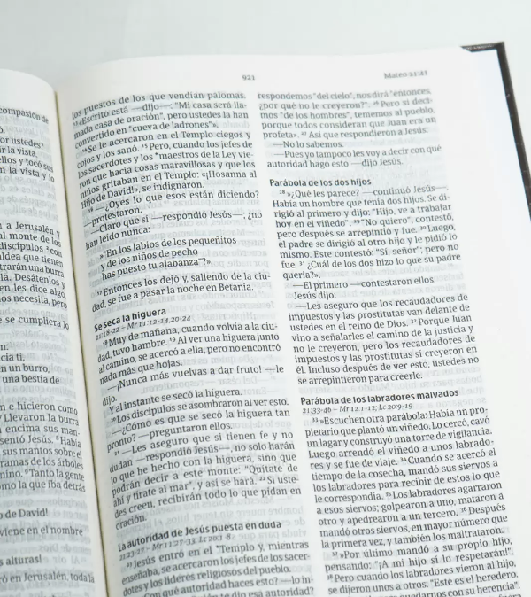 Producto - BIBLIA TAPA DURA CIRCULOS - NVI - 1
