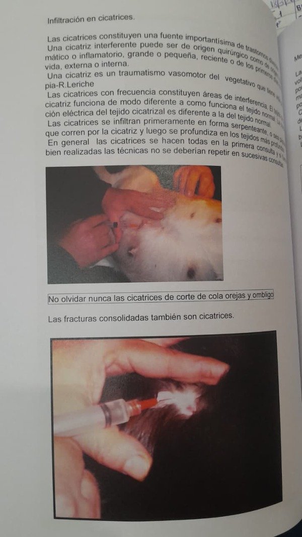 Producto - Castro: Bases para la Terapia Neural en Caninos y Felinos - 6