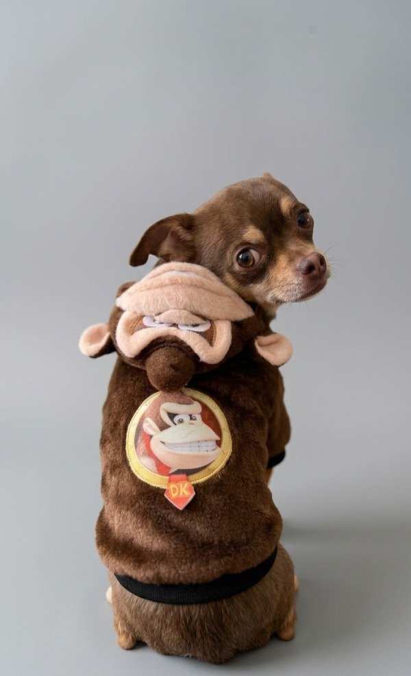 Producto - Buzo Donkey Kong