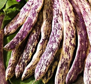 Producto - Poroto Lenguas de Fuego