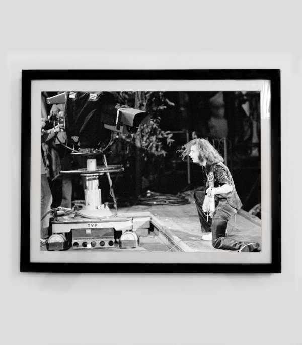 Producto - DEEP PURPLE (Nro 9) - 0