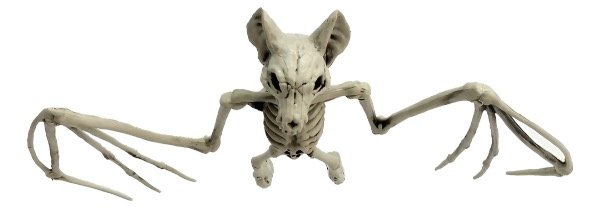 Producto - Esqueleto de murciélago 8 x 47 x 28cm