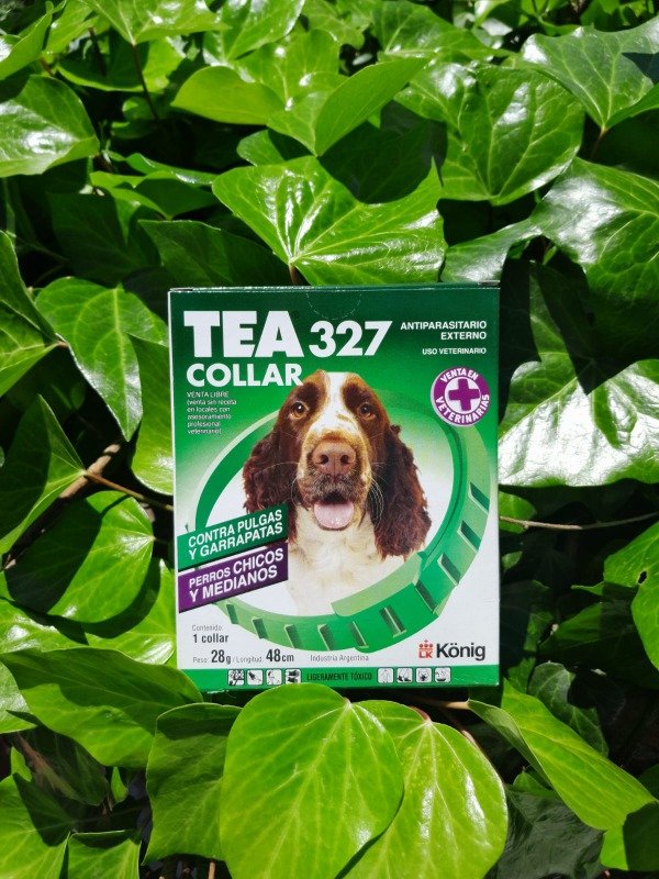 Producto - Collar TEA perro chico y mediano