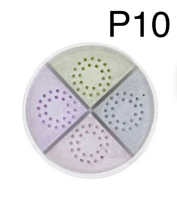 Producto - Polvo suelto Silk System Ruby - 2