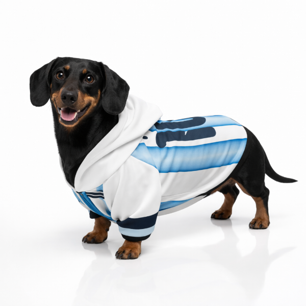 Producto - Buzo Con Capucha Seleccion