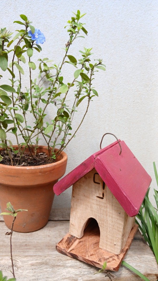 Producto - Casita charo pintada ( CHP OO1)