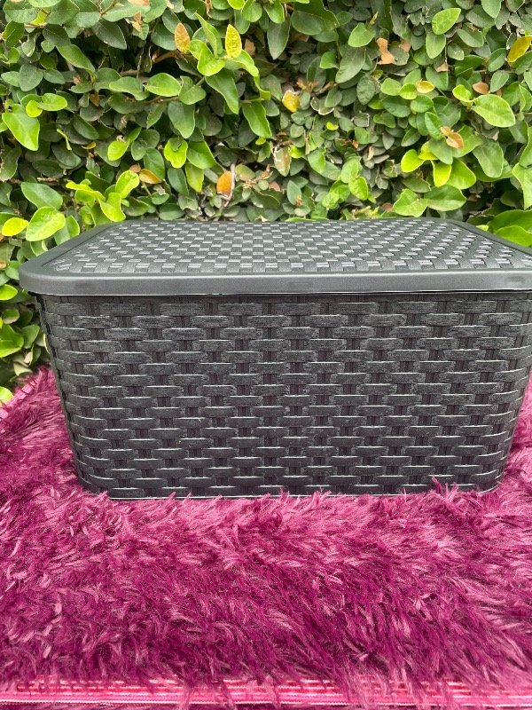 Producto - Canasto simil ratan con tapa