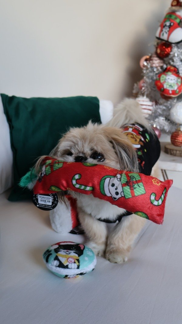 Producto - rectángulo con plumas navidad