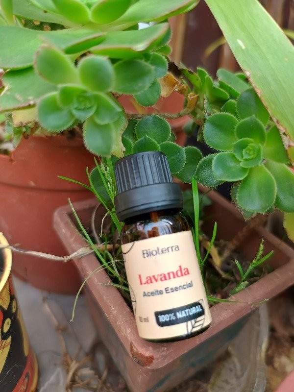 Producto - Aceite Esencial Lavanda - Bioterra - - 0
