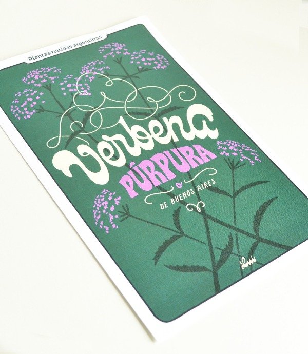 Producto - Print - Verbena púrpura - 1