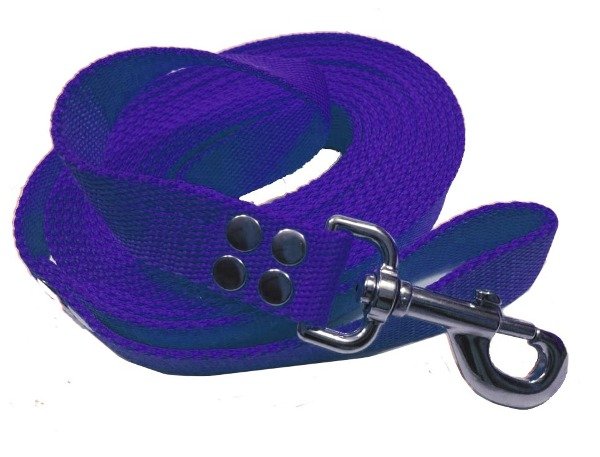 Producto - Correa de perro 5 metros 2,5 cm mosquetón reforzado vs colores - 3
