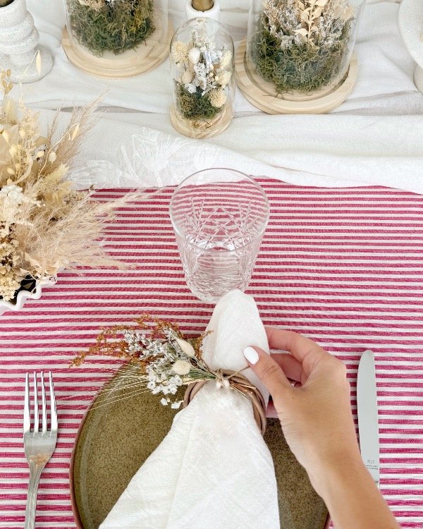 Producto - Pack servilleteros + servilletas x4