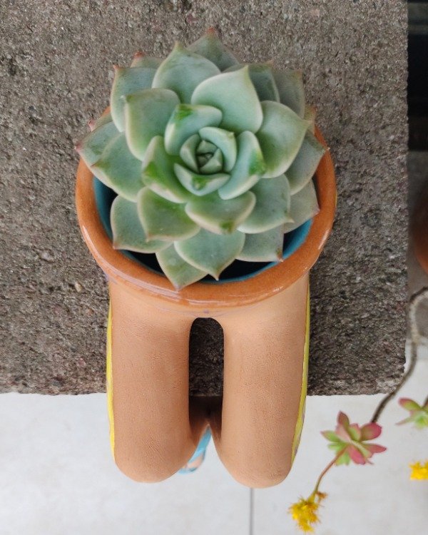 Miniatura de producto - 5