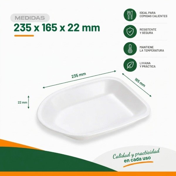 Producto - BANDEJA DE TELGOPOR EXPANDIDO BANDEX 604 X 50 Unidades - 3