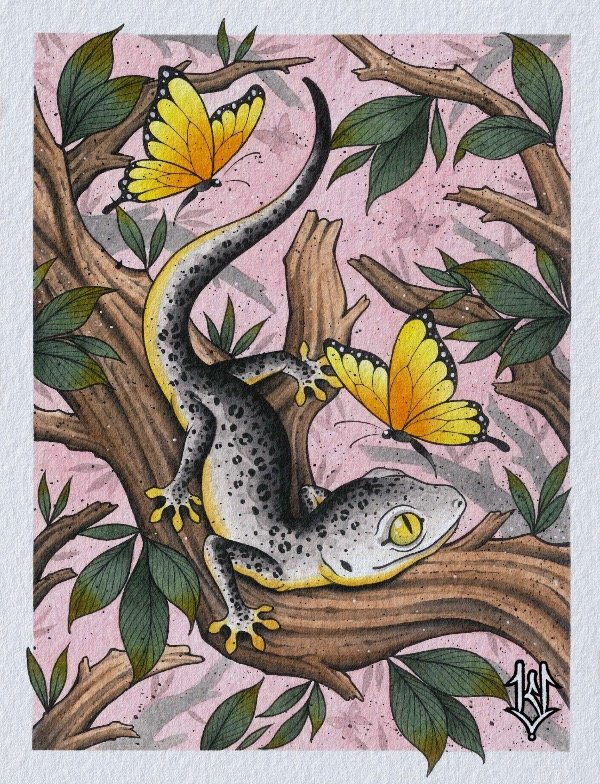 Producto - GECKO (DIGITAL)