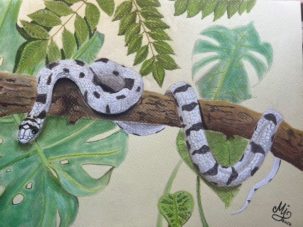 Producto - Retrato de mascota con pastel tiza - 3
