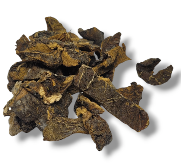 Producto - HONGOS SECOS DE PINO