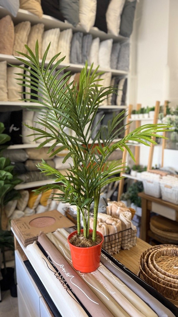 Producto - Palmera Grande