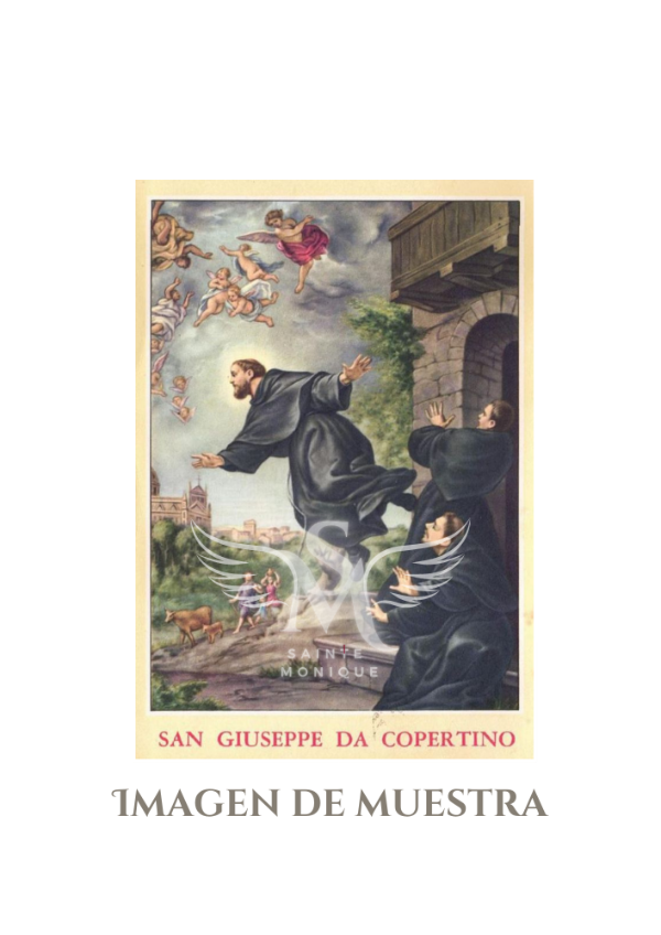 Producto - San José de Cupertino