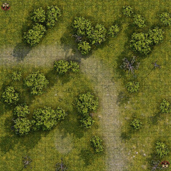 Producto - Camino en el bosque 4 XL