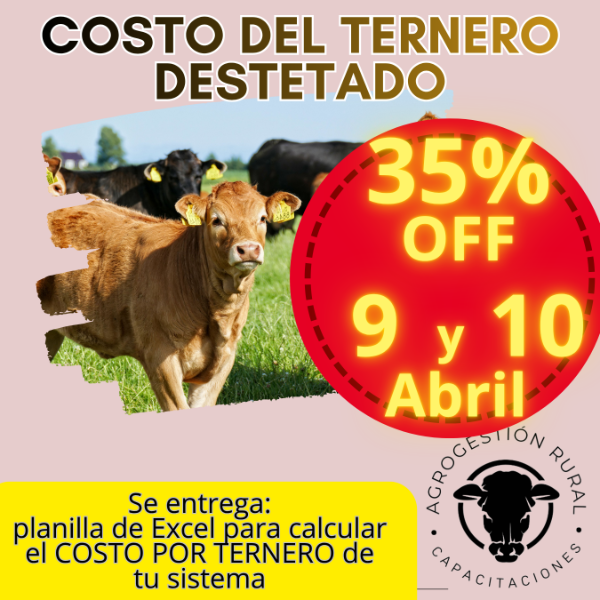 Producto - Taller Online: Costo del Ternero