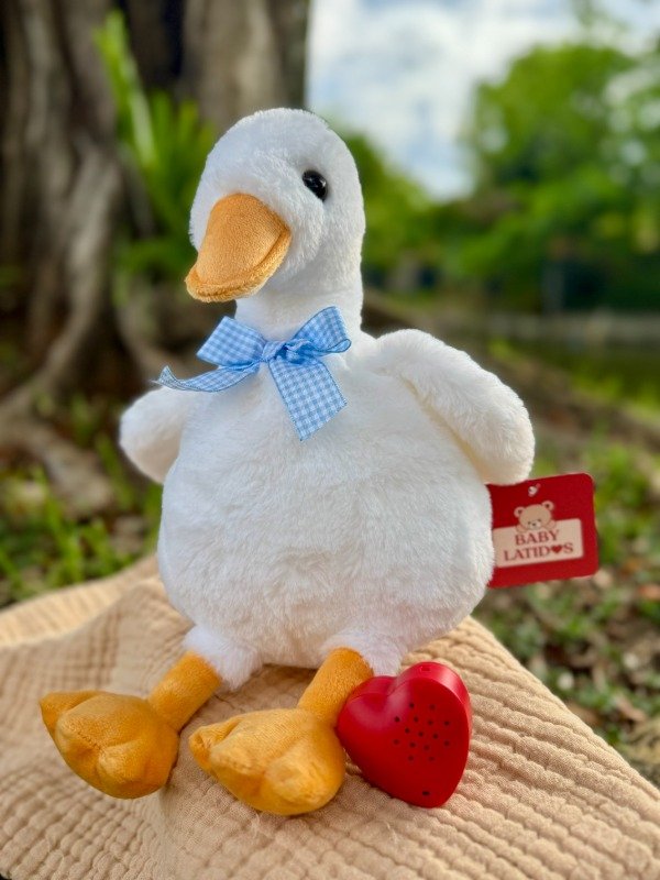 Producto - Duckie