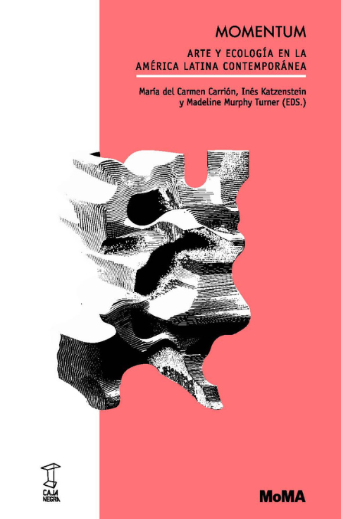 Producto - MOMENTUM - AAVV - CAJA NEGRA